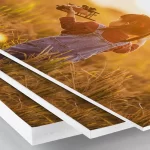 PVC με Ψηφιακή Εκτύπωση - Image 3